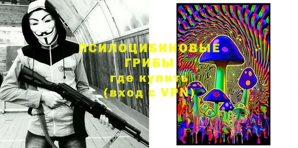 мяу мяу мука Баксан