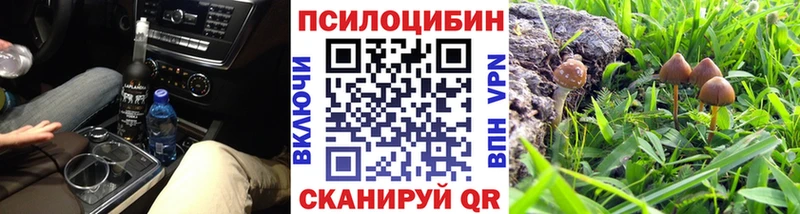 закладка  Тимашёвск  Галлюциногенные грибы Psilocybine cubensis 
